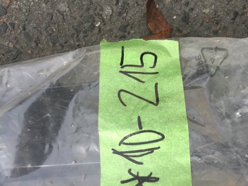 *10 L10 215 BMW 5 Serie E60 Stoßstange vorne Mitte teilweise Grill