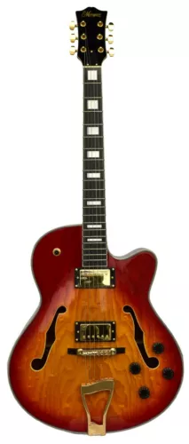 Electric Guitar Full-Hollow Body, (Canadian Brand)
