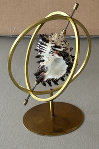Murex Nigritis Black Murex on Brass Stand