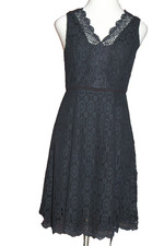 LOFT Women's Back Zip Lace 80% Cotton Dress Size-8 Med High Sleeveless NWT