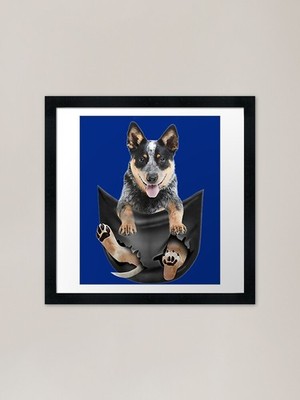Blue Heeler in Pocket Puppy gerahmt gerahmt Wandbild Poster Leinwanddruck Bild