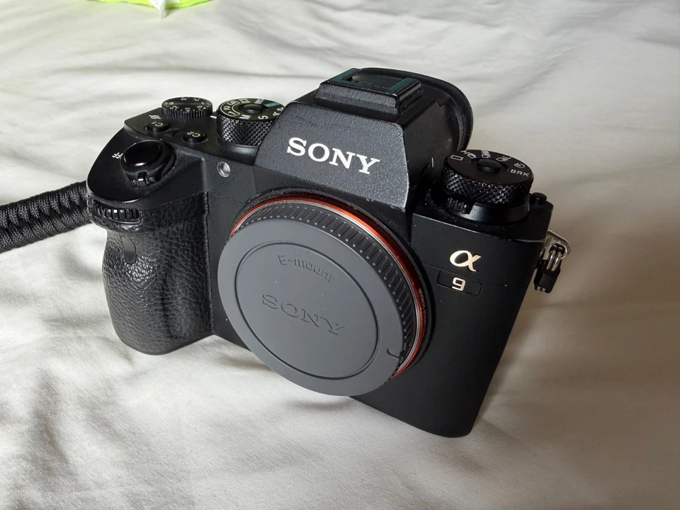 Sony Alpha 9, photo 1 of 5