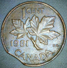  on The Hot Collector