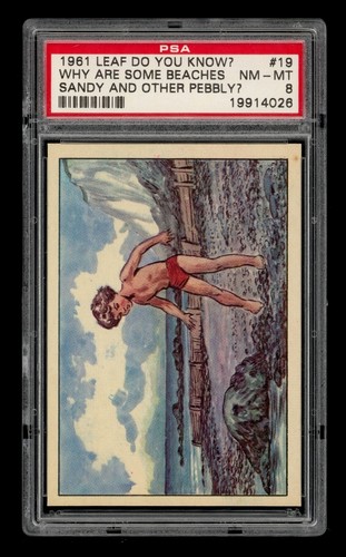 1961 Leaf Do You Know? Set-Break # 19 Why Are Some Beaches Sandy PSA 8
