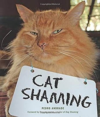 Cat Shaming Taschenbuch Pedro Andrade