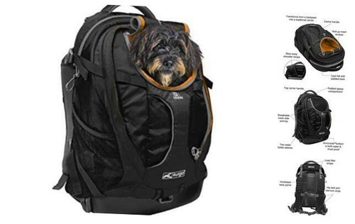 dog carrier backpack petsmart