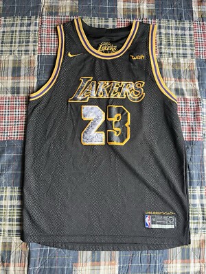 lakers lebron james mamba jersey