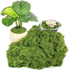 Fake Green Moss for Potted Plants, 5.3OZ Moss Decor Artificial Faux Moss for Cra