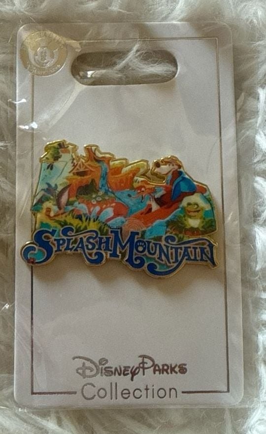 RARE SPLASH MOUNTAIN Brer Fox Bear Frog WDW DLR Disney Parks TRADING PIN