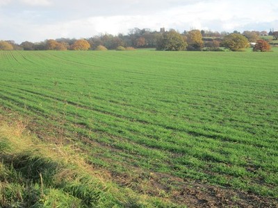 Foto A2 Stoneshot Common Roydon Hamlet Die Kirche auf dem Hügel kann se c2016