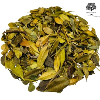 Getrocknete Bärentraubenblätter 85g - 1,95Kg Arctostaphylos uva-ursi