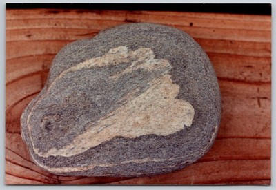 Vintage Photo River Rock Mineral Formation Pattern Cedar Wood Nature Still Life