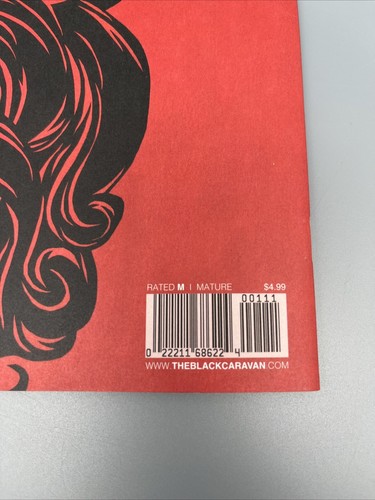 Vanity #1 casi nuevo Black Caravan 2022 primera edición gótico vampiro indie cómic maduro - Imagen 11 de 21
