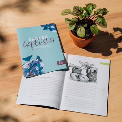 Anzuchtset Edelweiß Im Design-Alpen-Dose – Geschenk-Set Mit Samen, Alles Enthalten