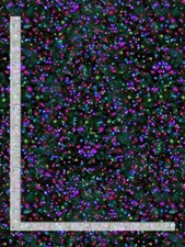 Christmas Fabric Winter Light Allover Timeless Treasures YARD