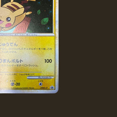 Pikachu Daisuki Club Gold Point 019/L-P Promo Japanese Pokemon