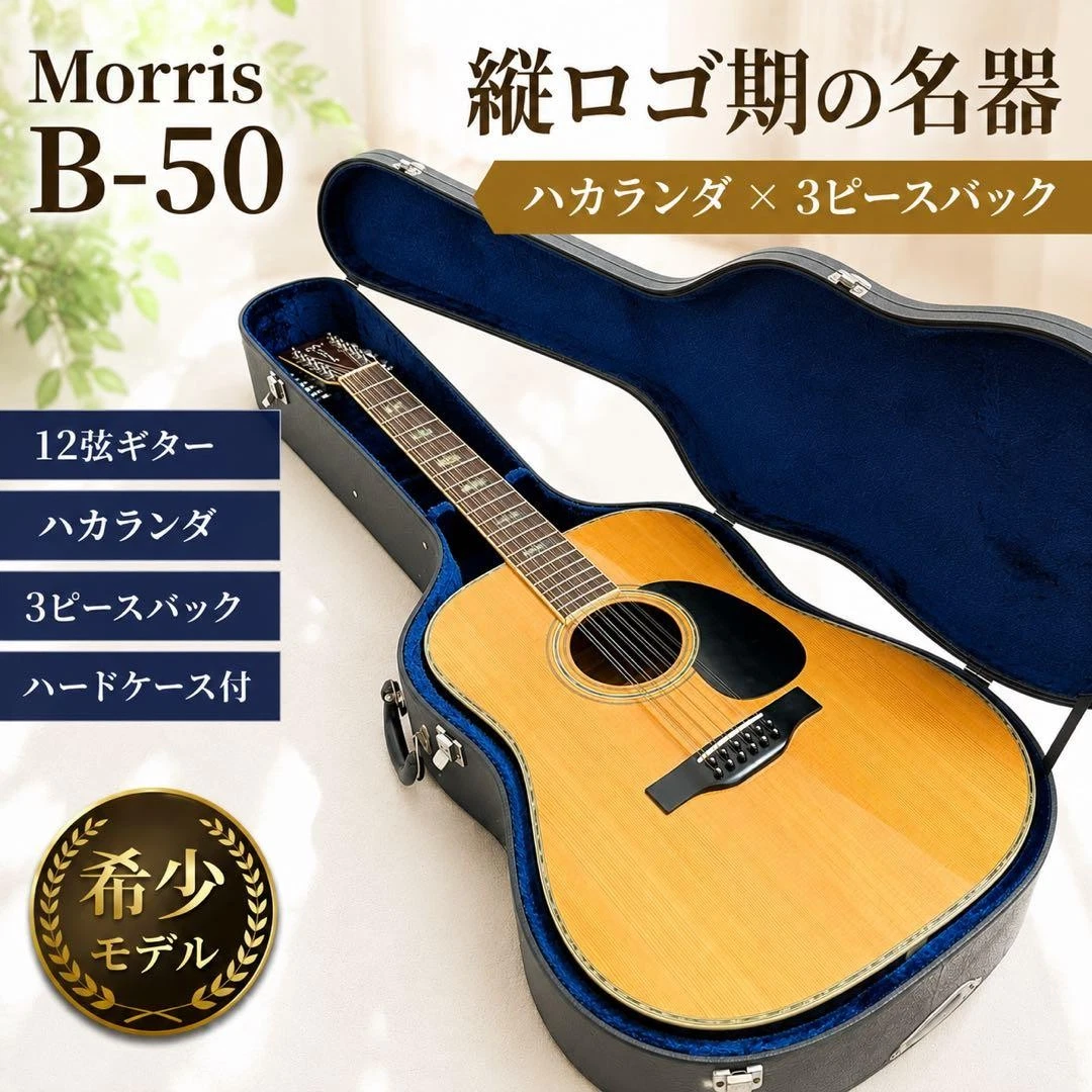Morris 12 String Acoustic Guitars for sale | eBay