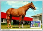 3895g Chinese Lunar New Year Horse FDC Maxi Card