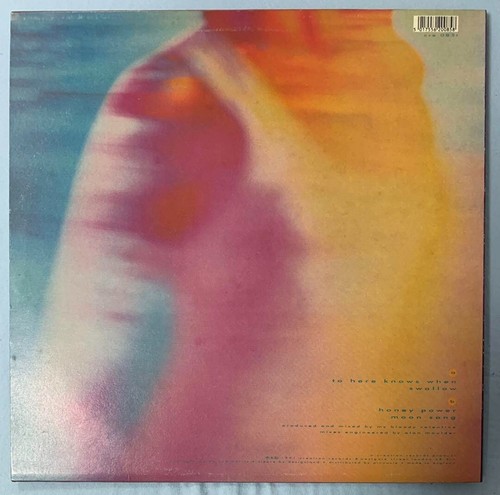 my bloody valentine tremolo