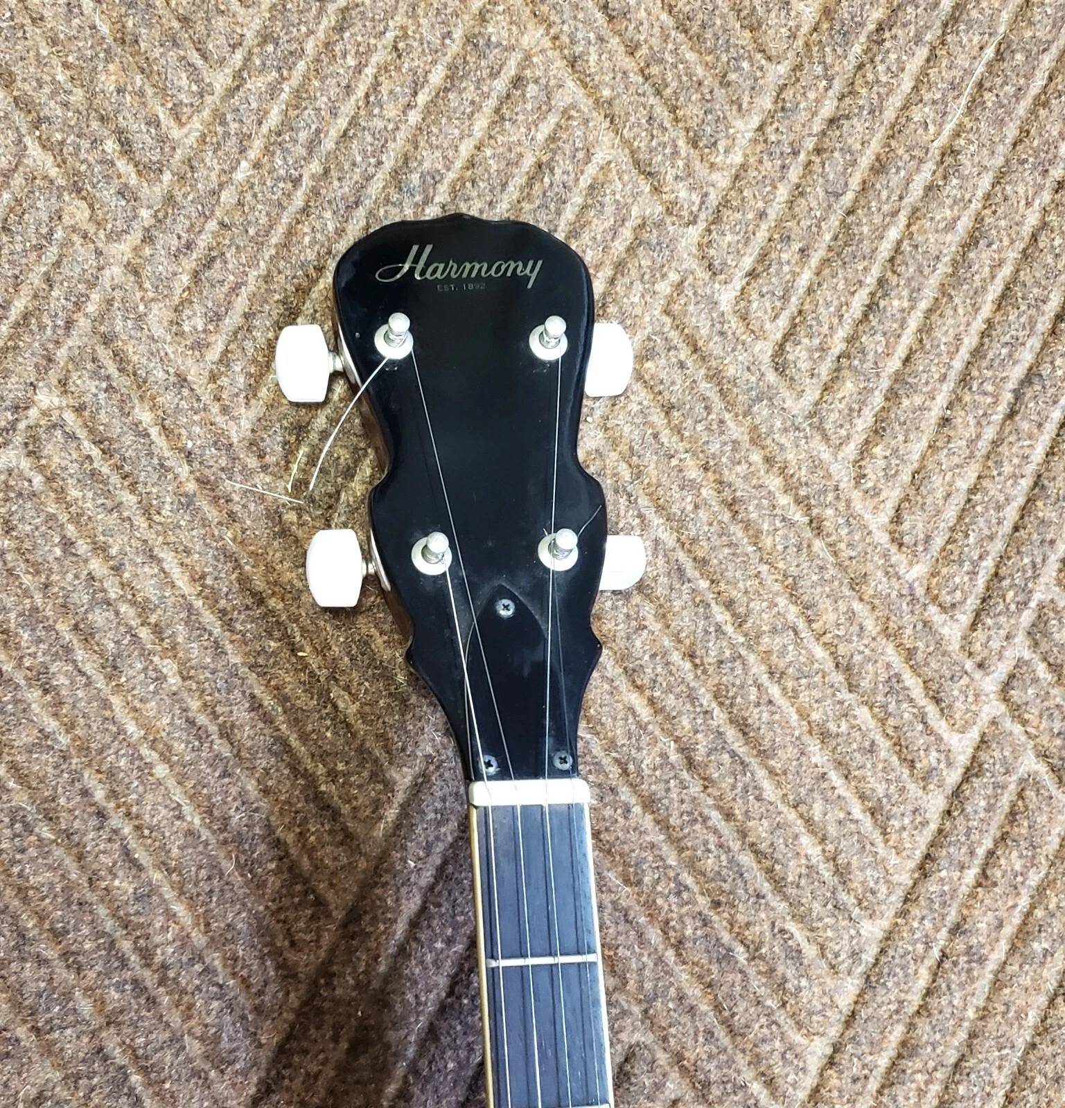 Picture 6 of 15