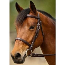 Nunn Finer Event Bridle