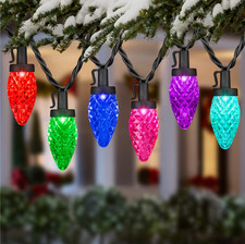 Gemmy Lightshow 24 Light 23 ft C9 Color Motion Multicolor LED Lights