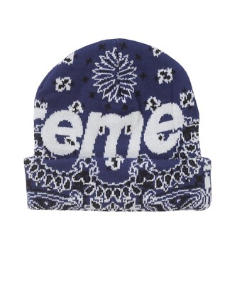 Supreme Big Logo Beanie Blue Bandana FW24 OS One Size
