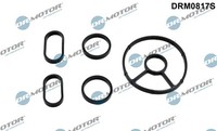 Dr.Motor Automotive Dichtungssatz ÖLküHler FüR Ford Kuga II DM2 2.0 Tdci 4X4