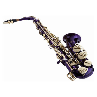 Hawk Colored Student Purple Alto Saxophone with Case, Mouthpiece