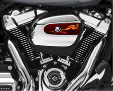 Sexy She Devil Air Cleaner Insert Replaces Stock 107 HD Insert. USA Made