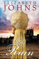 After The Rain Elizabeth Johns Taschenbuch Kartoniert / Broschiert Englisch 2017