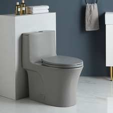 1.1/1.60 GPF Dual-Flush One Piece Toilet, Water-Saving Elongated Comfort Toilet