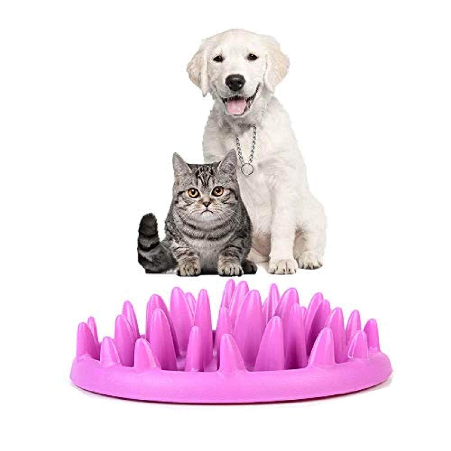 Gamelle anti ballonnements en matériau durable pour chiens toutes tailles