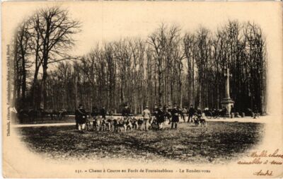Chasse à courre dans les forêts du Sud meusien