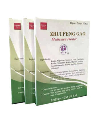 SHIZHEN TCM GinSen 3x10pc Zhui Feng Gao Pain