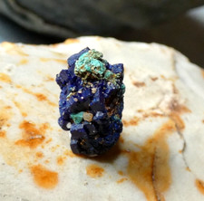 Rare Cuprite sur Chessylite Azurite Chessy Rhône 13mm Minéraux pierre micromount