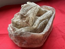 Jungle Boa Imperator Shed