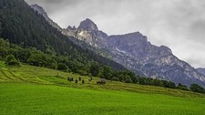 Landscape nature mountains forest alps clouds grass Custom Gaming Mat Desk