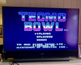 🏈 NES Tecmo Bowl RARE 1st Edition!Black Seal & Eric Dickerson Ex-Rental WORKS!