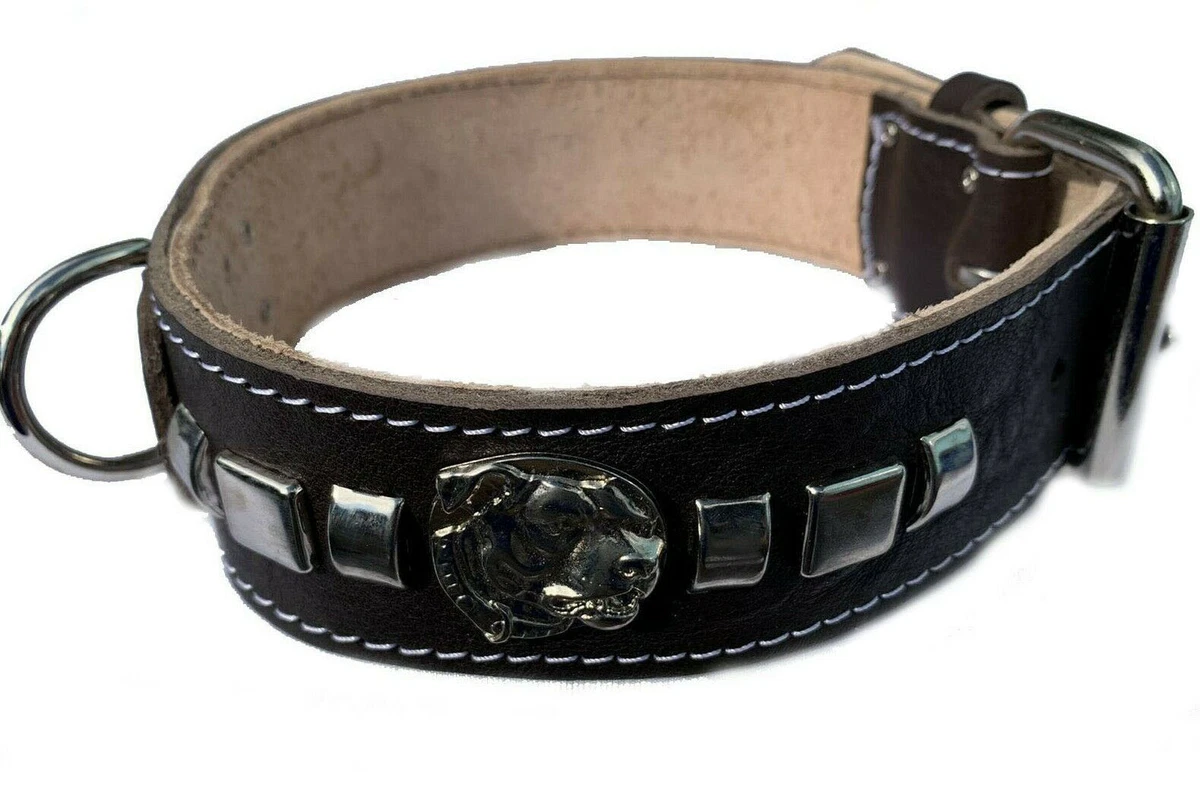 2 Inch Wide Black Leather Dog Collar with Decorative Design and