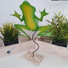 Foto 2 di 2