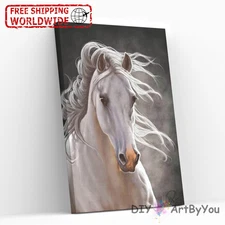Paint By Numbers Canvas Art Draw Artist Painting Oil Kit Home Decor White Horse