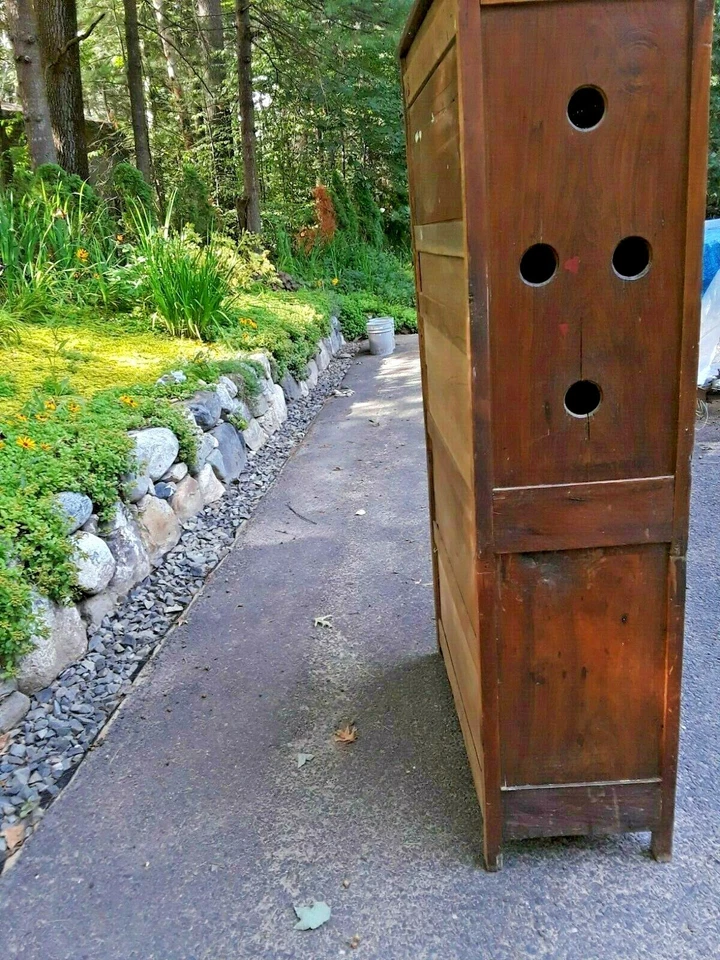 Antiguo armario primitivo de gelatina americana temprana caja fuerte para pasteles Foto 3 de 4