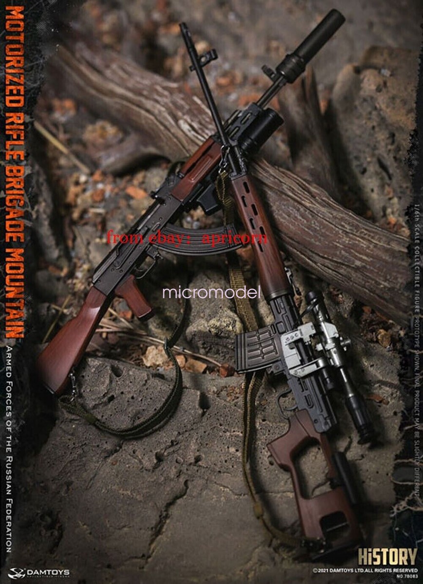 DAMTOYS DAM78083 Motorized Rifle Brigade Mountain 1/6 Action