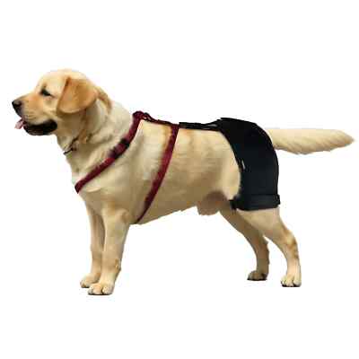Dog Hip Dysplasia Harness LISPOO Dog Brace XL Pain Relief