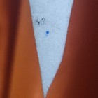 Bild 8 von 10