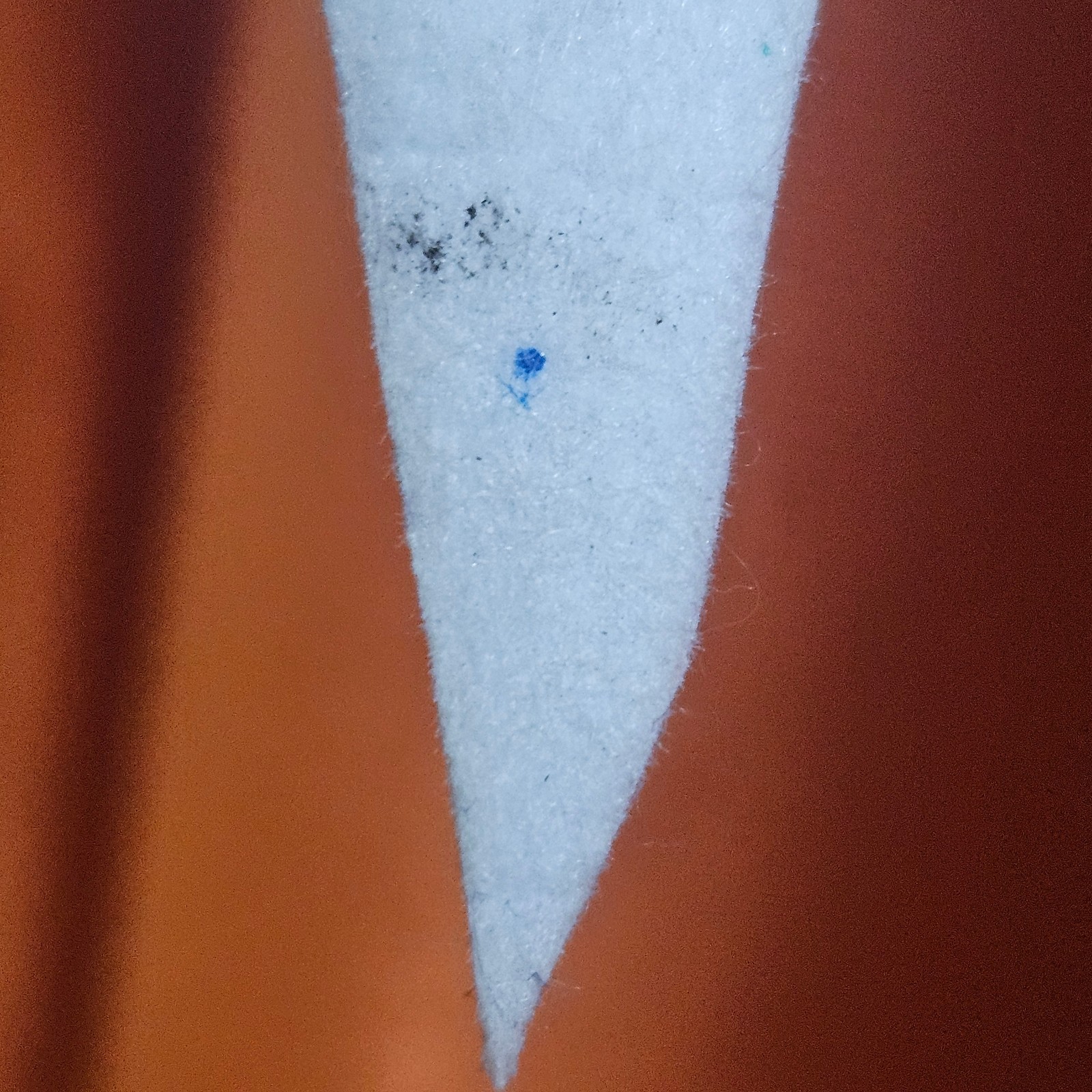 Bild 8 von 10
