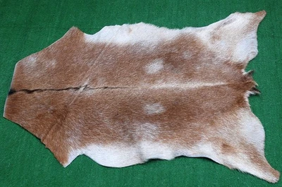Luxus Ziegenfell Teppich Haar auf Fläche Teppich Größe 32"x22" Tierleder Ziegenfell 3714 - Bild 1 von 3