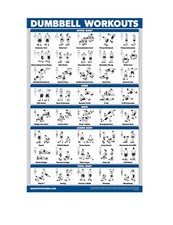 Palace Learning Dumbbell Workout Exercise Poster - Free Weight Body Building ...