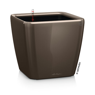 LECHUZA QUADRO Premium LS 43 Komplettset taupe hochglanz